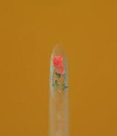 Диво под микроскопом